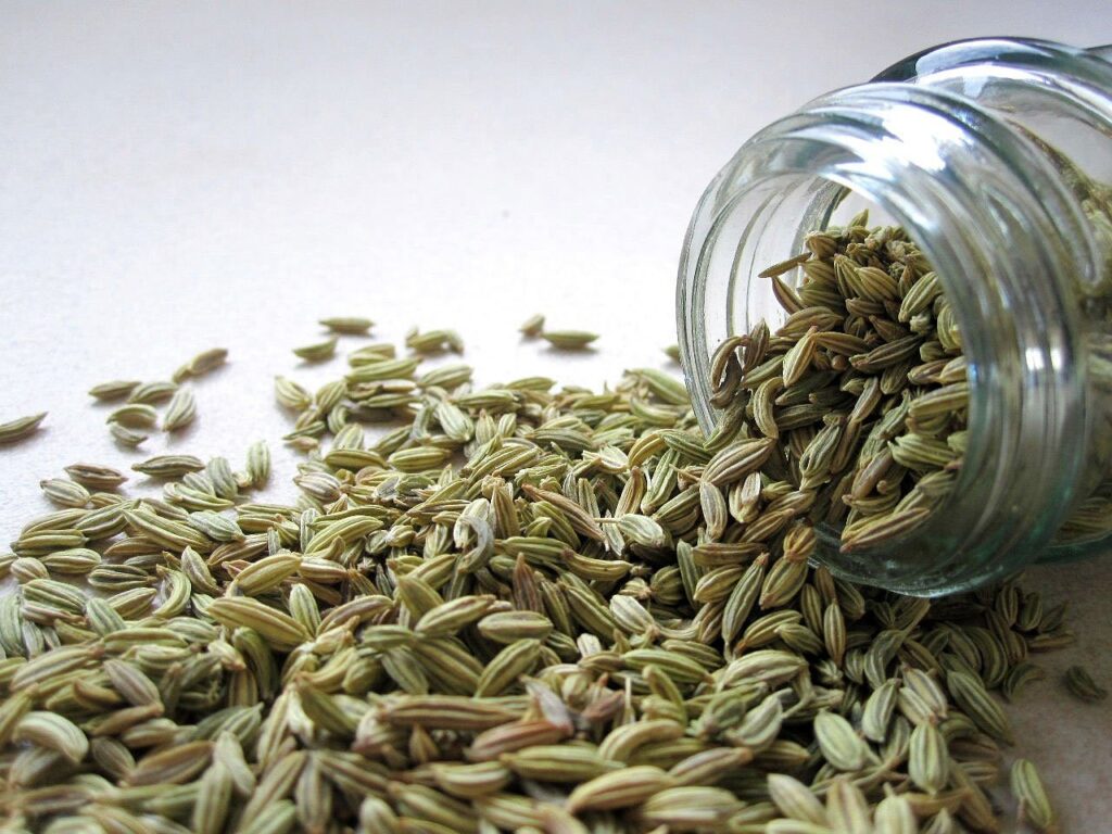 fennel, seeds, spice